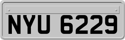 NYU6229