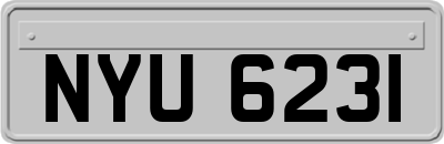 NYU6231