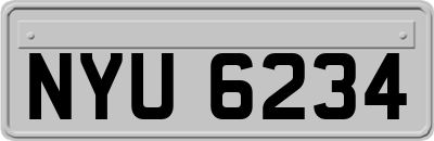 NYU6234