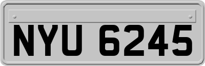 NYU6245