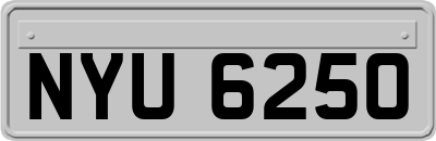 NYU6250