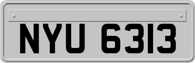 NYU6313