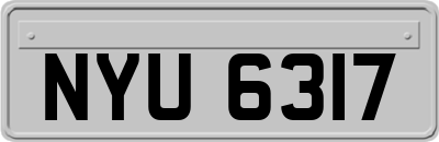 NYU6317