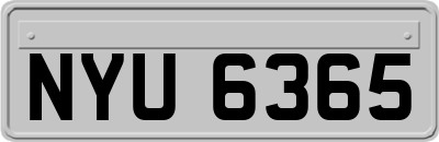 NYU6365