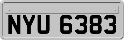NYU6383