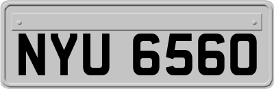 NYU6560
