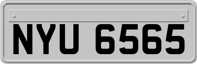NYU6565