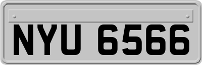 NYU6566