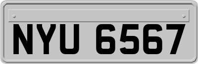 NYU6567