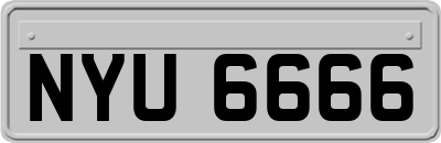 NYU6666
