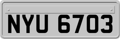 NYU6703
