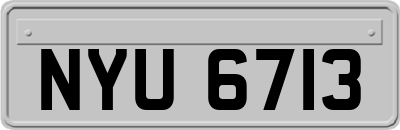 NYU6713