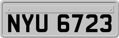NYU6723
