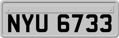 NYU6733