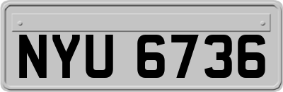 NYU6736