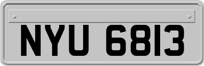 NYU6813