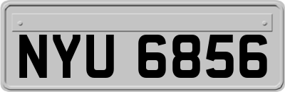NYU6856
