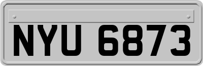 NYU6873