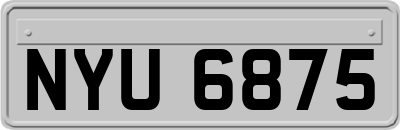 NYU6875