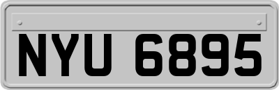 NYU6895