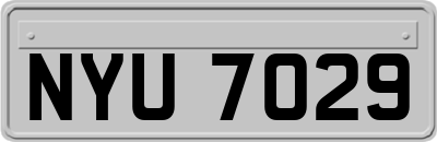 NYU7029