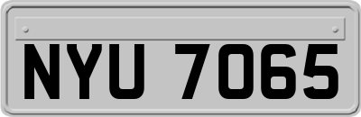 NYU7065