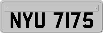 NYU7175