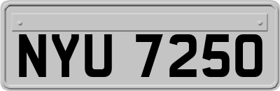NYU7250