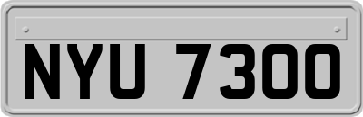 NYU7300