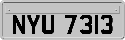 NYU7313