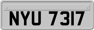 NYU7317