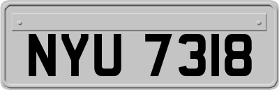 NYU7318