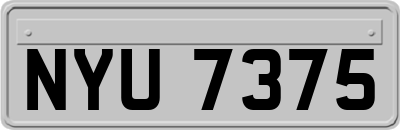 NYU7375