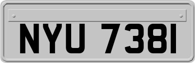 NYU7381