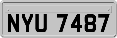 NYU7487