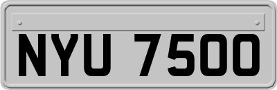 NYU7500