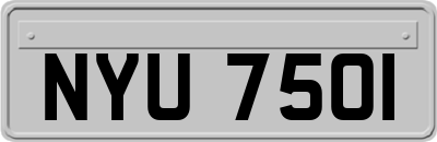 NYU7501