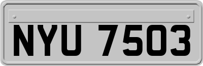 NYU7503