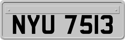 NYU7513