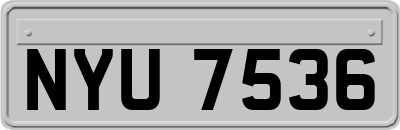 NYU7536
