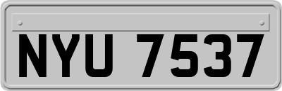NYU7537