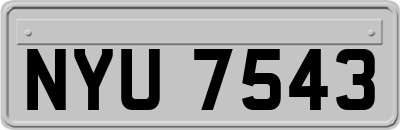 NYU7543