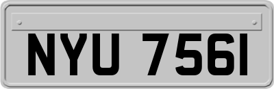 NYU7561
