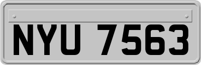NYU7563