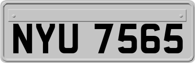 NYU7565