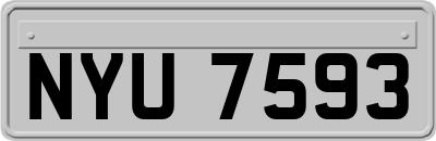 NYU7593