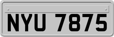 NYU7875