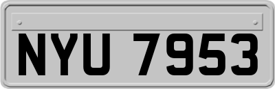NYU7953
