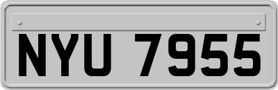 NYU7955