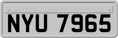 NYU7965